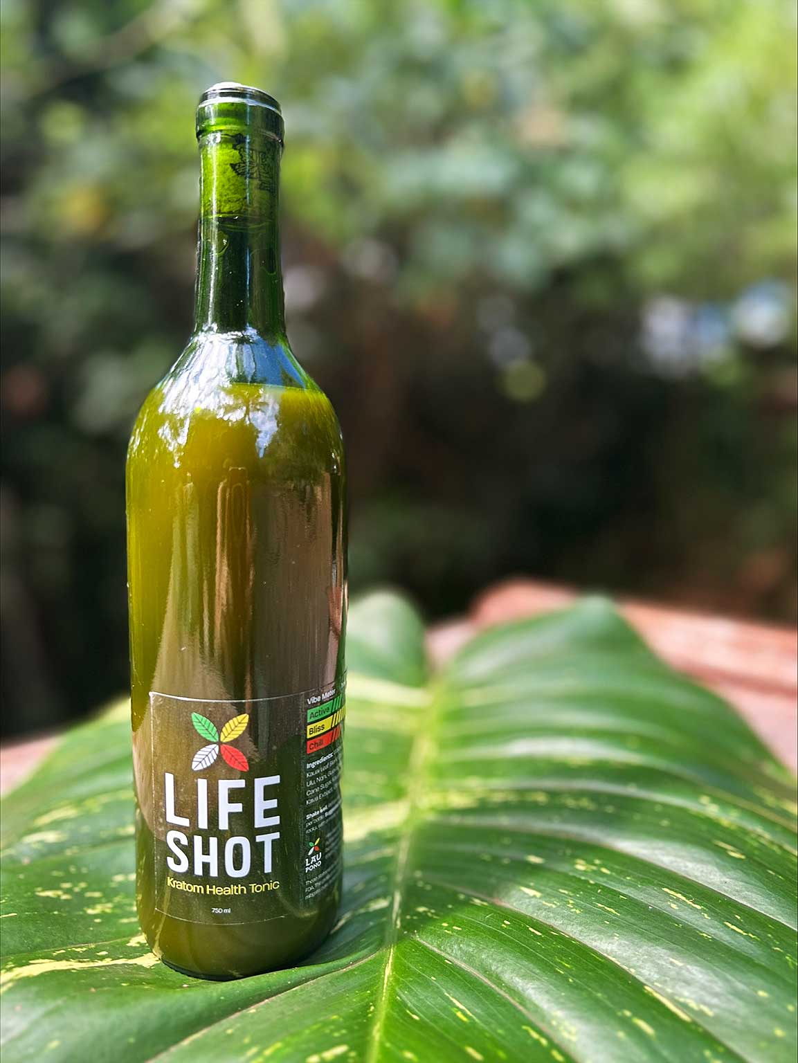 LIFE SHOT Kratom Kava (25 oz)